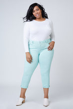 Load image into Gallery viewer, Mid Rise Boyfriend - PISTACHIO - SLINK JEANS
