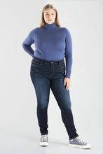 Load image into Gallery viewer, High Rise Skinny - Tenley - SLINK JEANS
